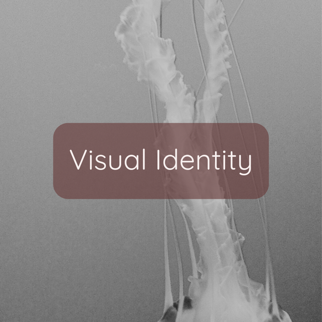 Visual Indentity Visual Identity | Drishti Media